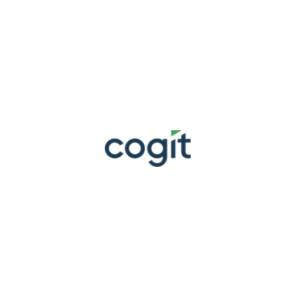 Wizualizacja danych - Usługi business intelligence - Cogit