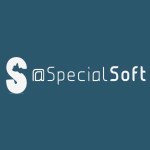 Pozycjonowanie Sklepów Internetowych - SpecialSoft